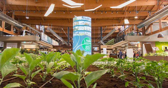FICO World Eataly
